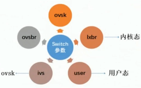 switch参数